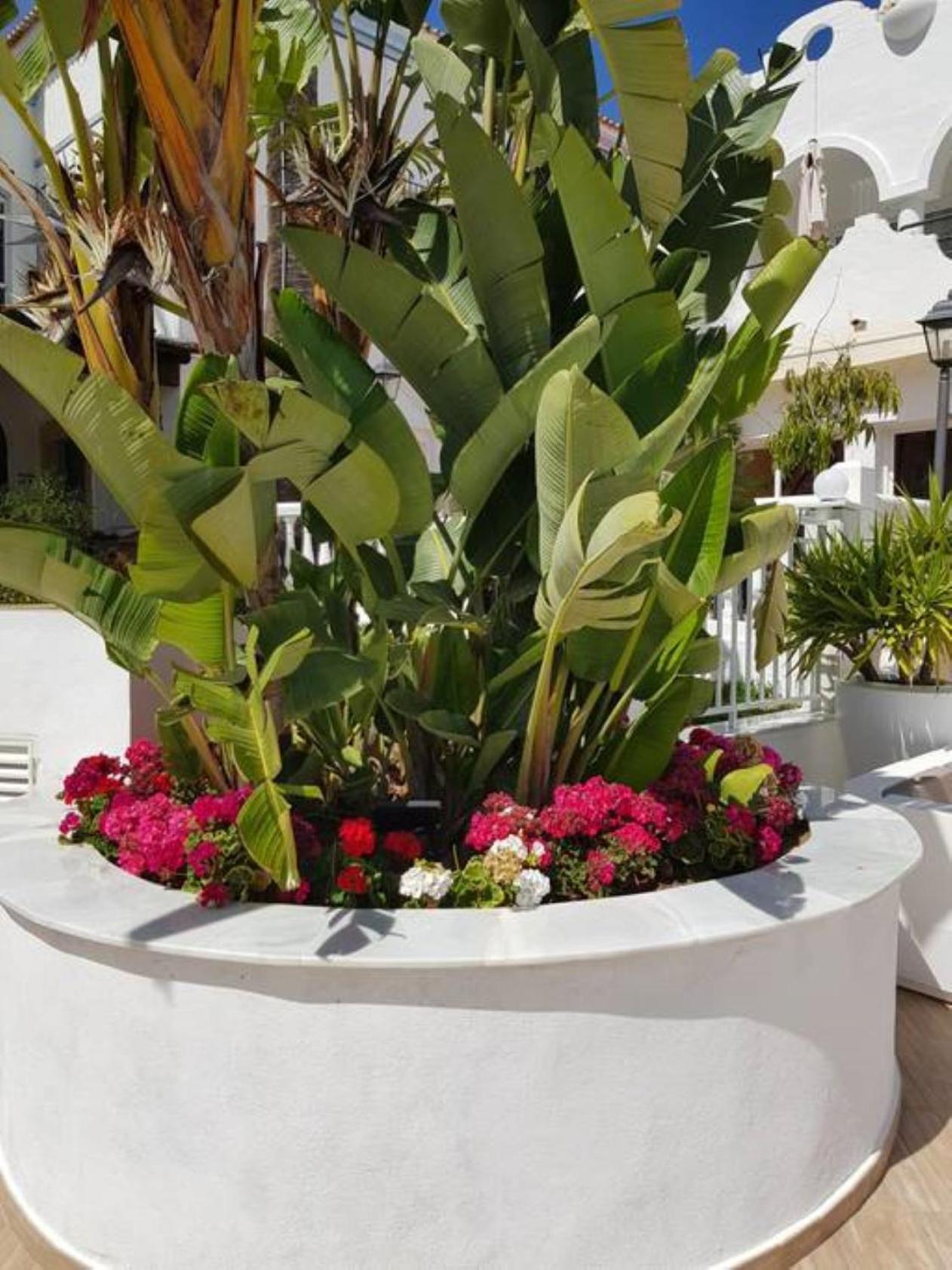 Casa Kava In A Superior Aparthotel Resort Near Cabopino No Car Needed Marbella Exterior photo